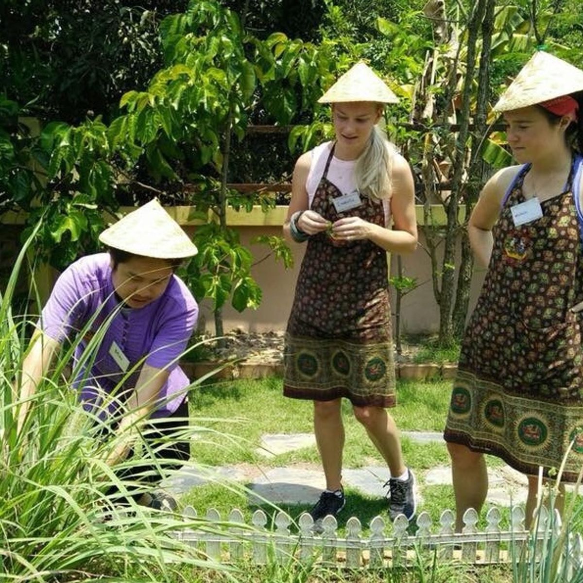 Private Class Morning & Evening with Fresh Ingredients at Organic Garden & Market