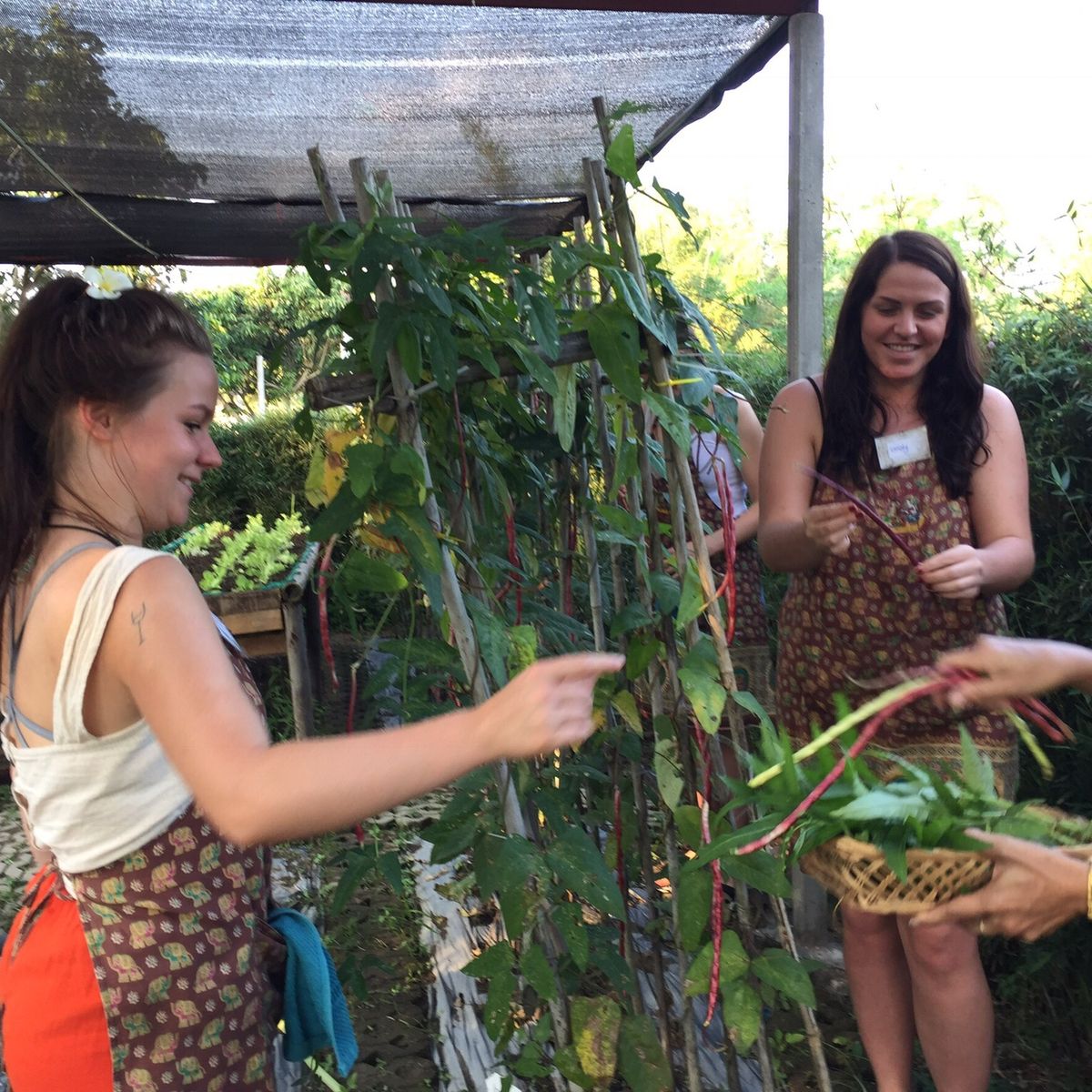 Siam Garden Cooking School