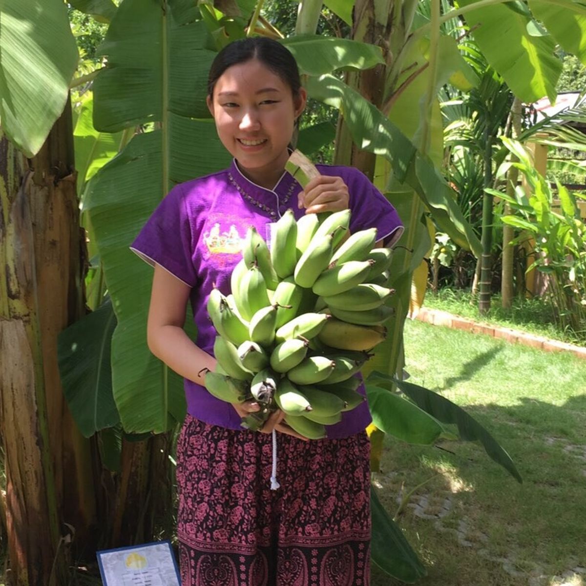 Koche mit frischen Zutaten: vom thailändischen Garten zum Wok!