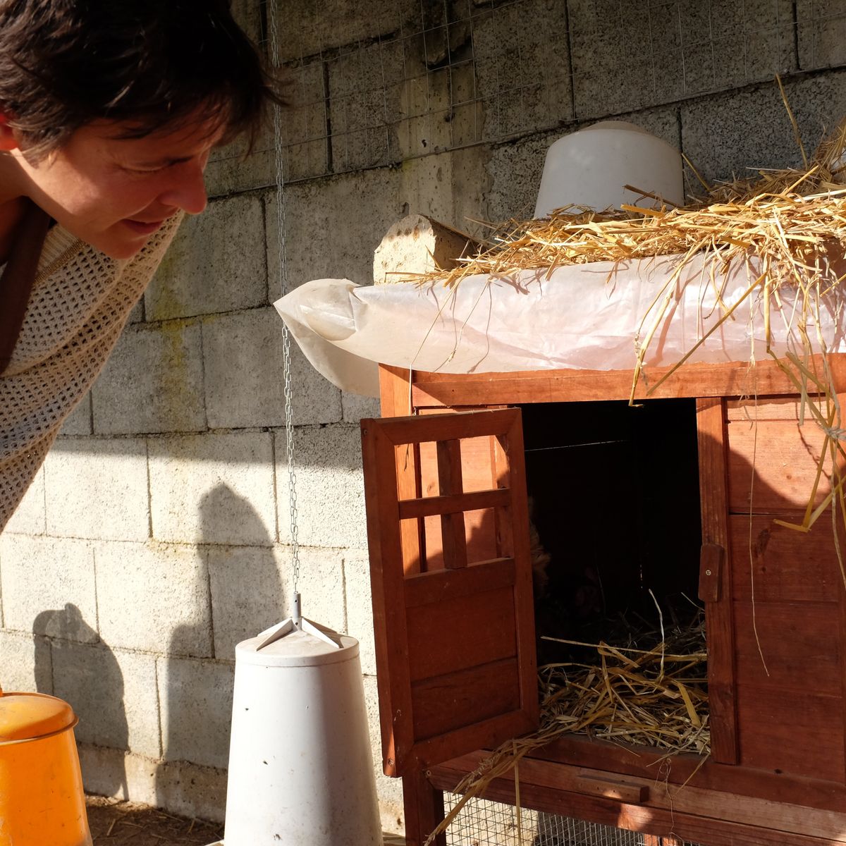 Cours de cuisine privés à la ferme : fabrication de pâtes