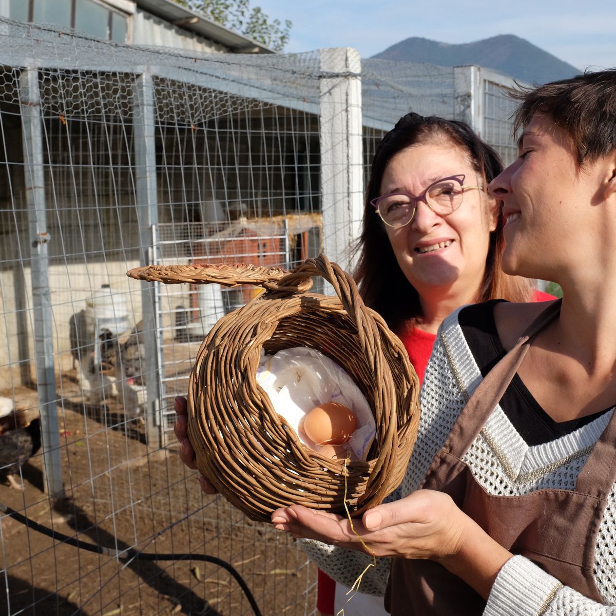 Cours de cuisine privés à la ferme : fabrication de pâtes