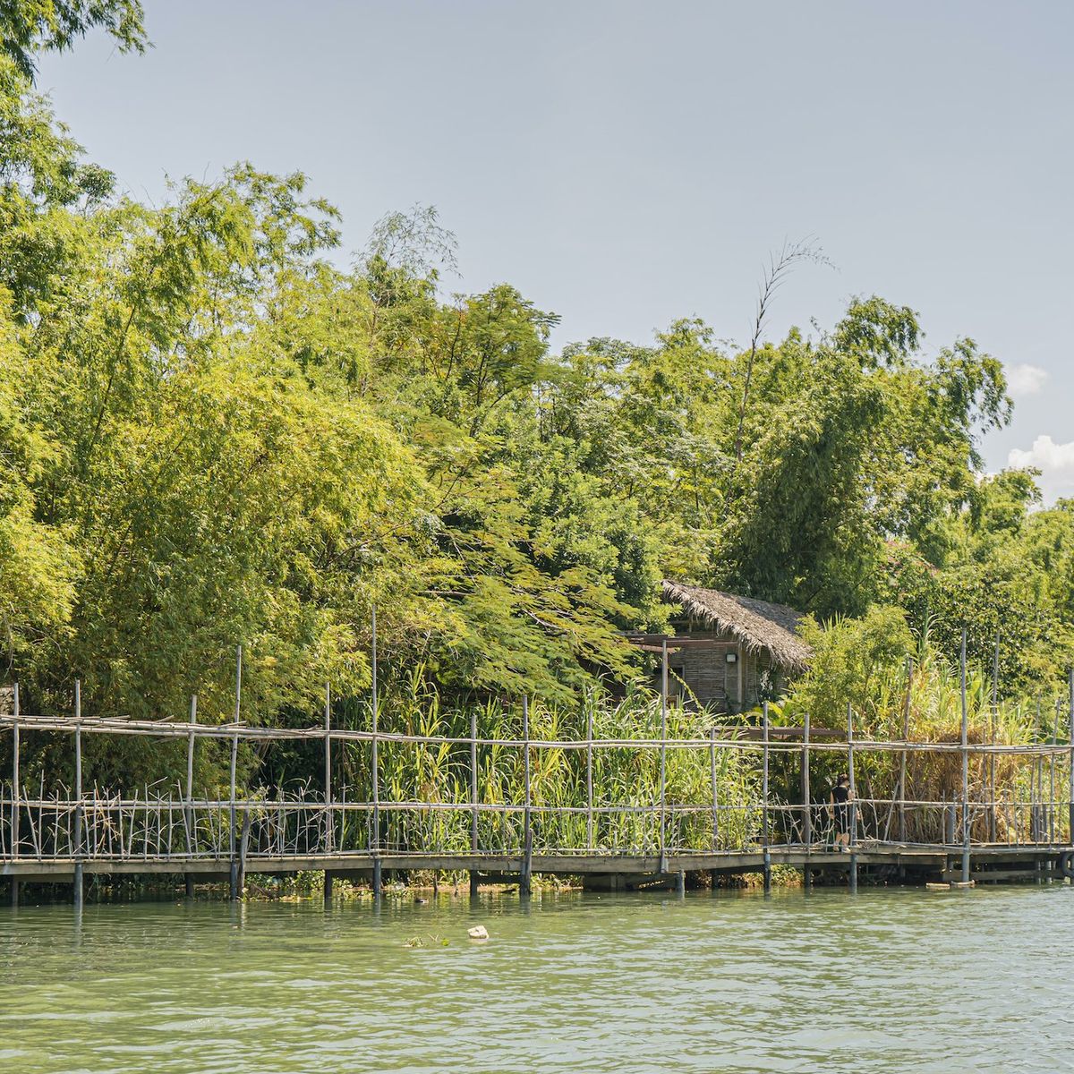 Adventurous Cooking Class on Bamboo Forest Island
