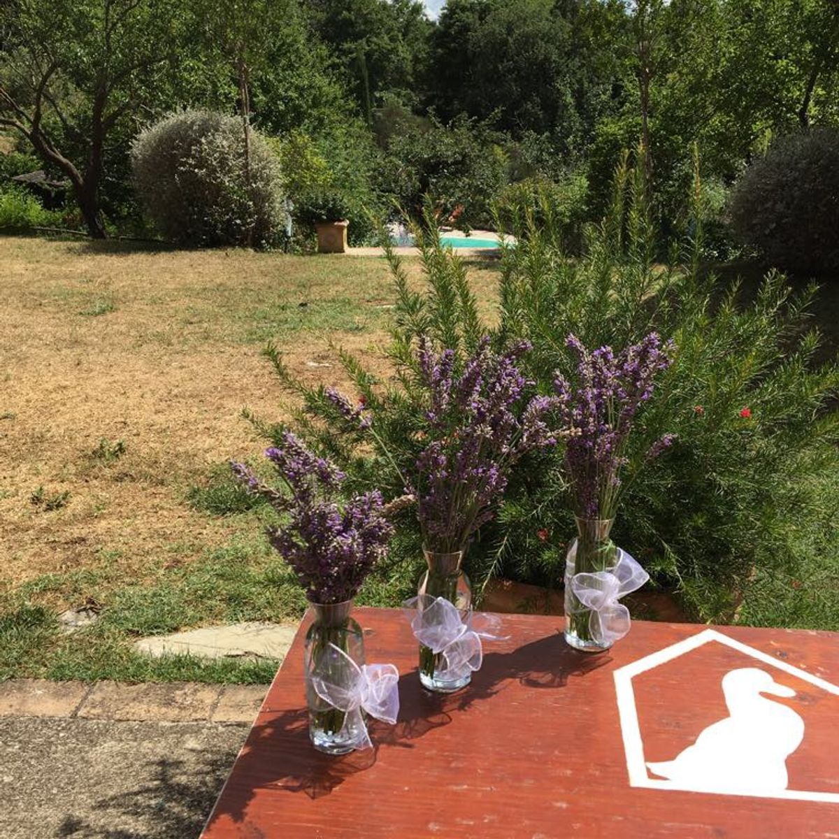 Cours de cuisine "Choisissez votre propre menu" à San Casciano dei Bagni