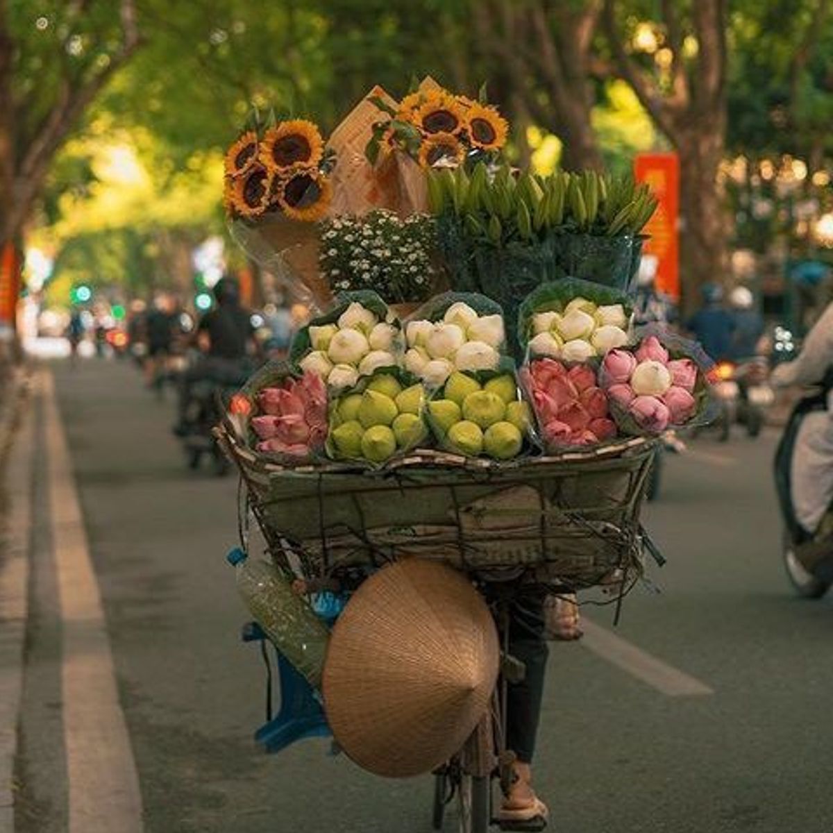 Rose Kitchen: Hanoi Market, Cooking & Tales with Free Transfer