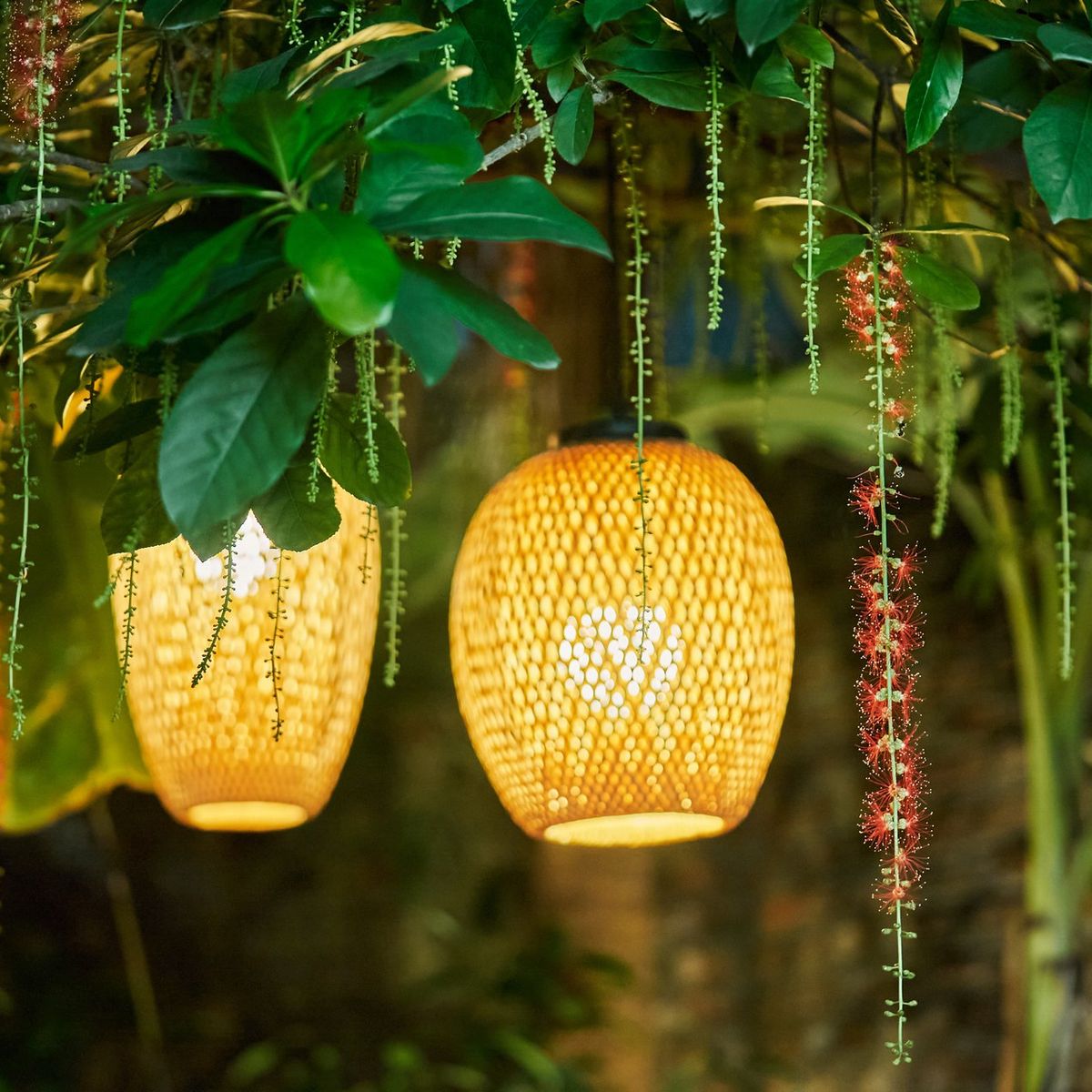 Rose Kitchen: Hanoi Market, Cooking & Tales with Free Transfer