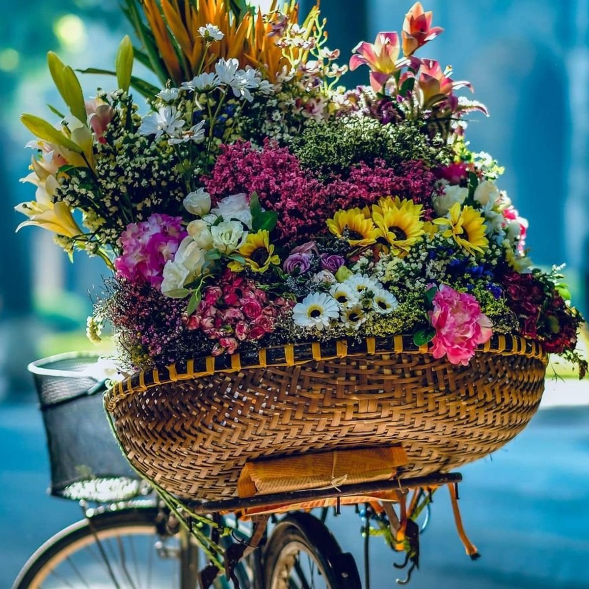 Rose Kitchen: Hanoi Market, Cooking & Tales with Free Transfer