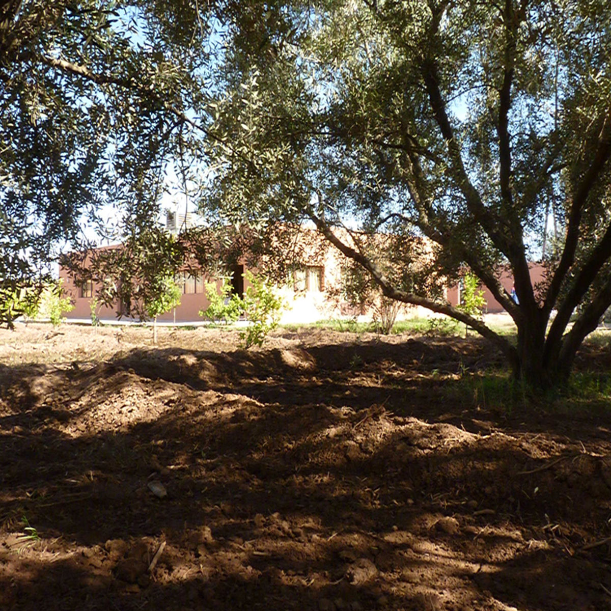 Moroccan Cooking Class on a Farm by L'Atelier Faim d'Epices