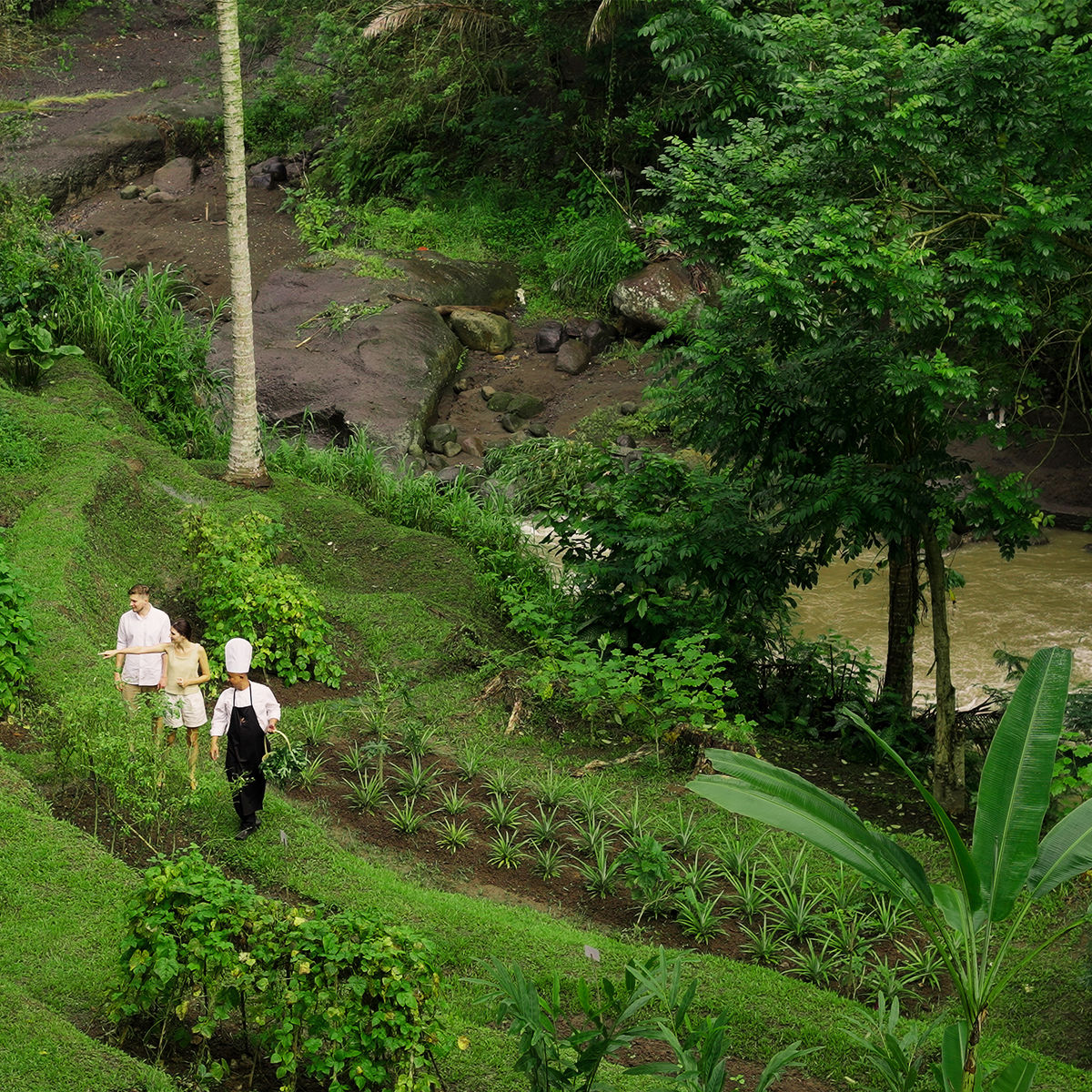 Authentic Balinese Cooking Class and Garden Tour Experience