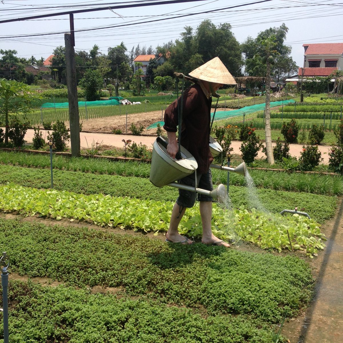 5가지 체험: 전등만들기, 바구니배, 쿠킹클래스, 자전거타기(Hoi An Bicyclette Tour)