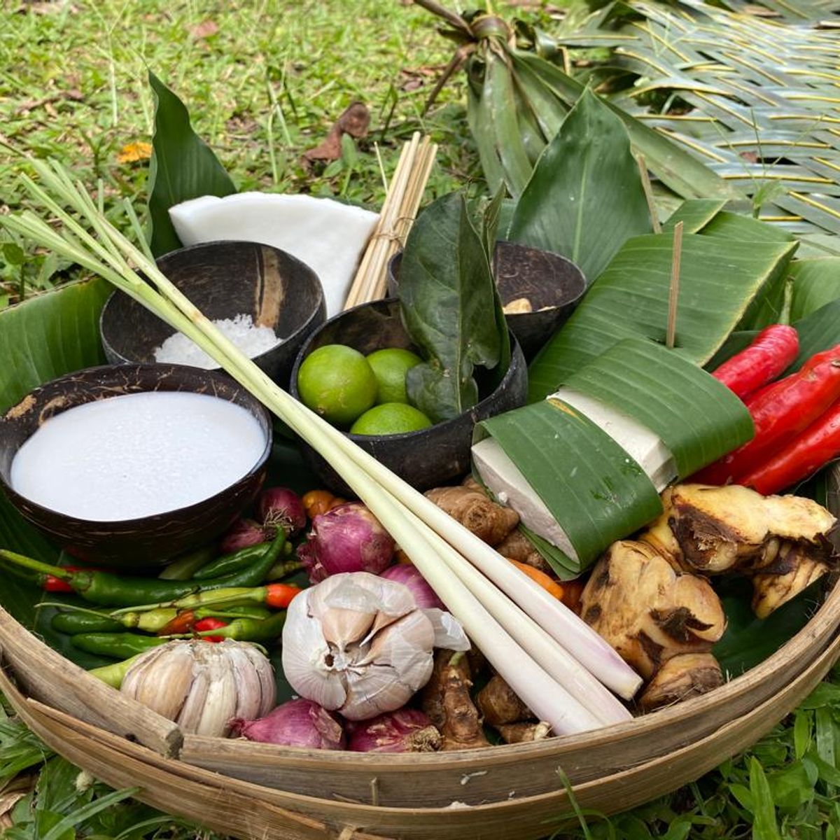 Cook with Fresh Picks from Organic Farm and visit Ubud's Market