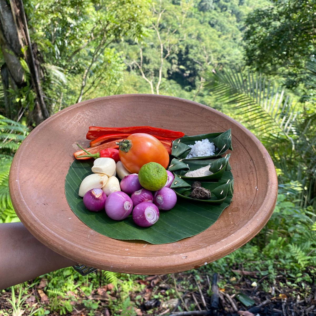 Cook with Fresh Picks from Organic Farm and visit Ubud's Market