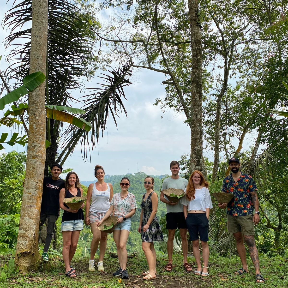 Cook with Fresh Picks from Organic Farm and visit Ubud's Market