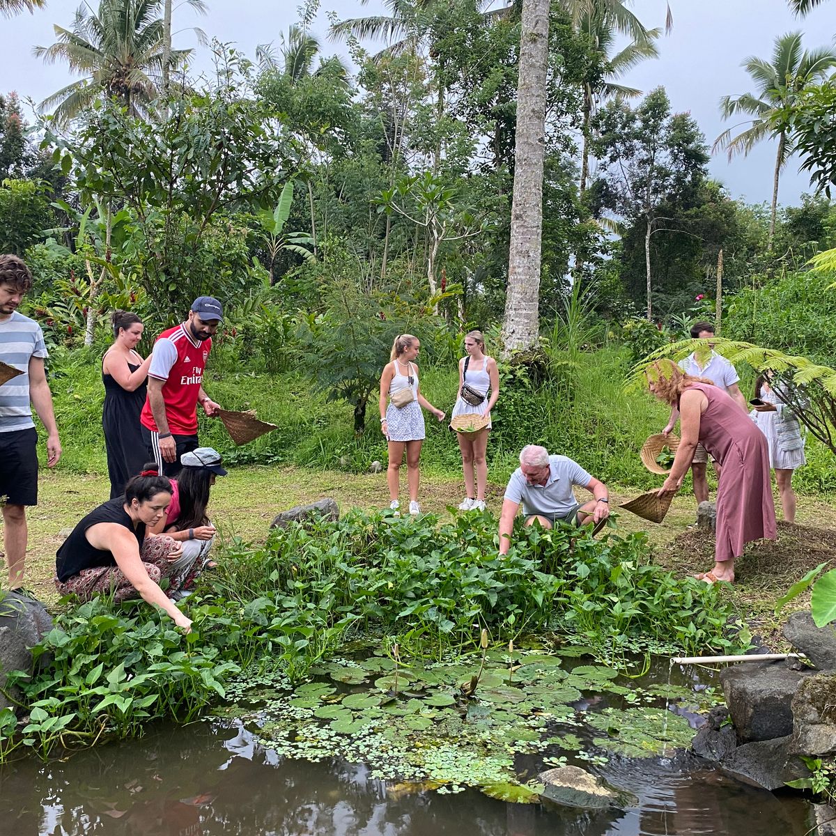 Cook with Fresh Picks from Organic Farm and visit Ubud's Market