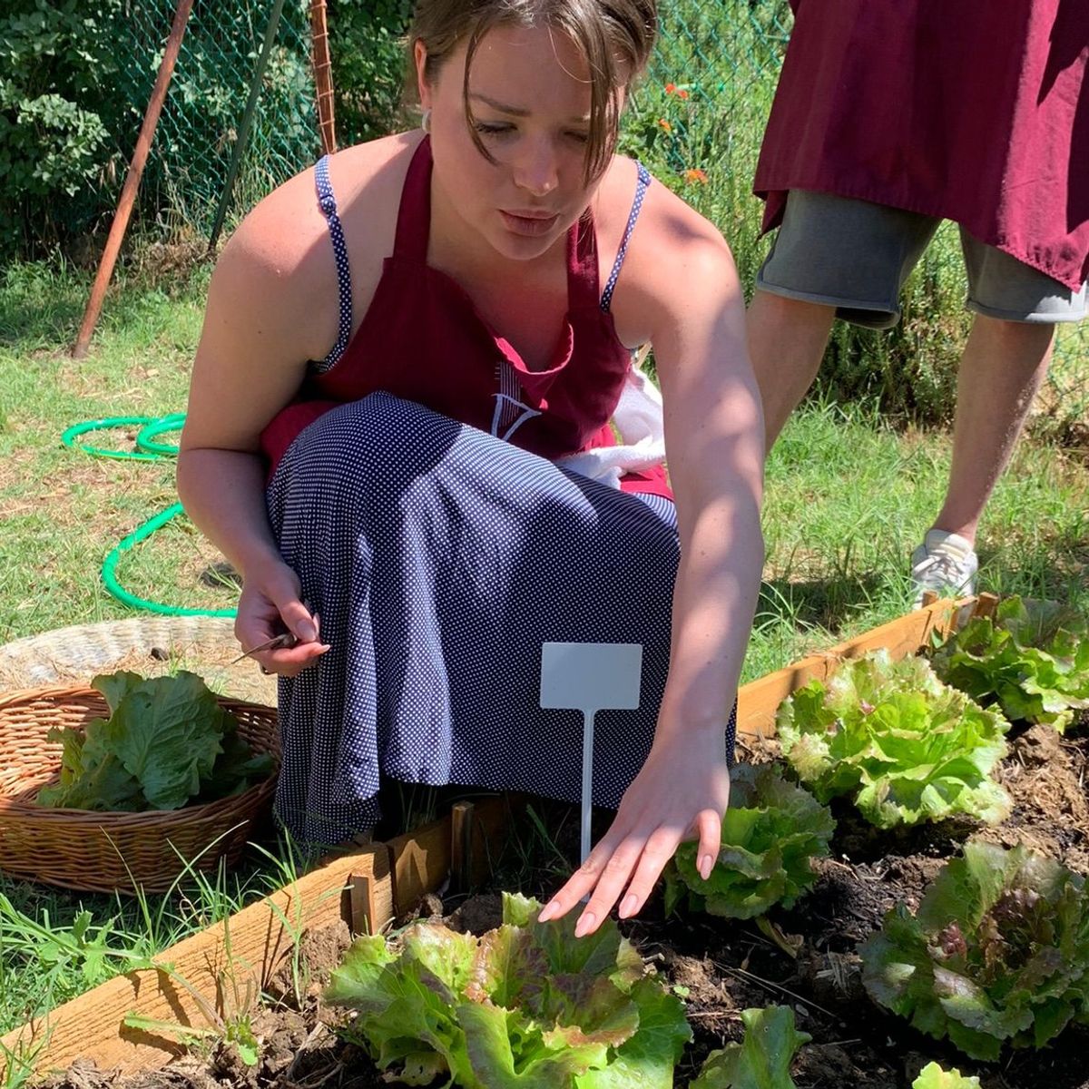Culinary Experience with Dinner and Live Opera in the Countryside