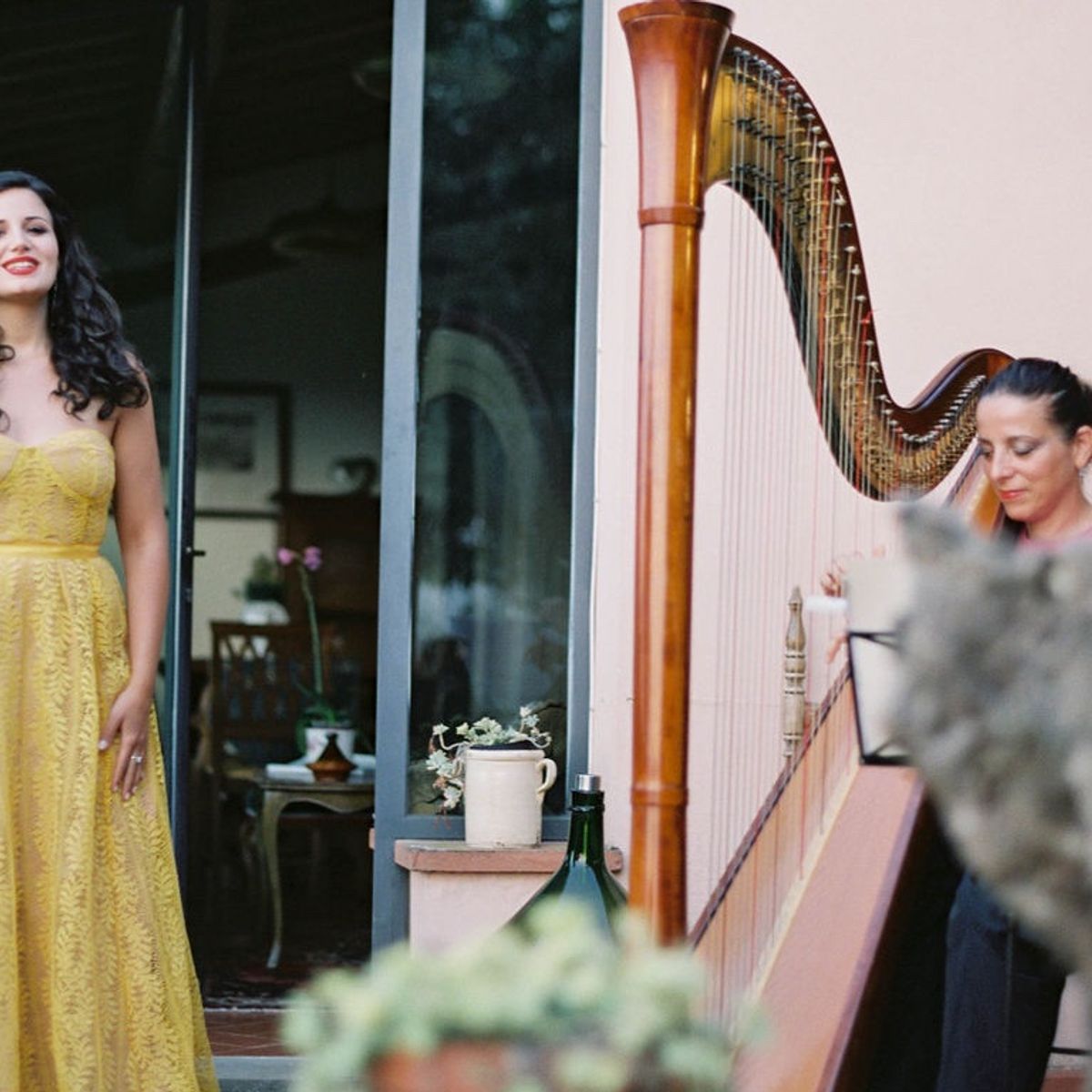 Culinary Experience with Dinner and Live Opera in the Countryside