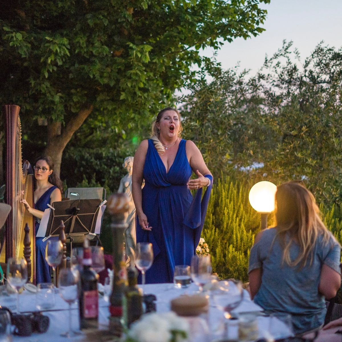 Culinary Experience with Dinner and Live Opera in the Countryside