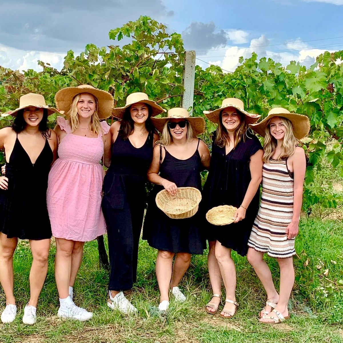 Culinary Experience with Dinner and Live Opera in the Countryside