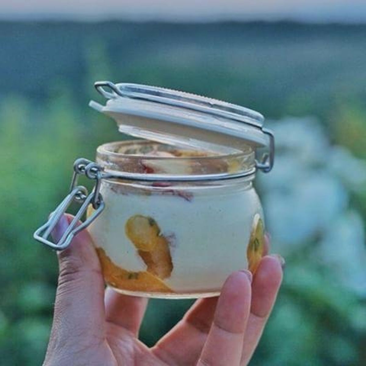Culinary Experience with Dinner and Live Opera in the Countryside