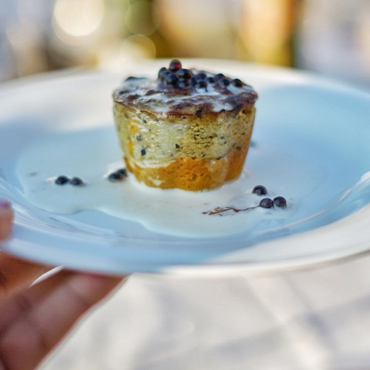Culinary Experience with Dinner and Live Opera in the Countryside