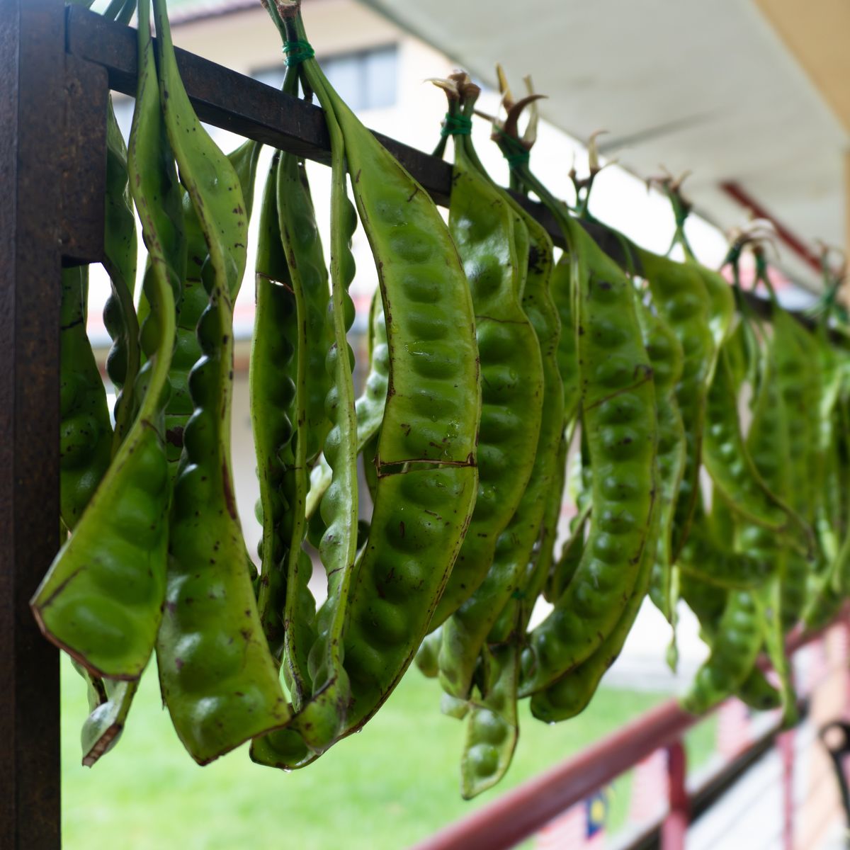 Penang Island Cooking Experience in a Charming Local Home