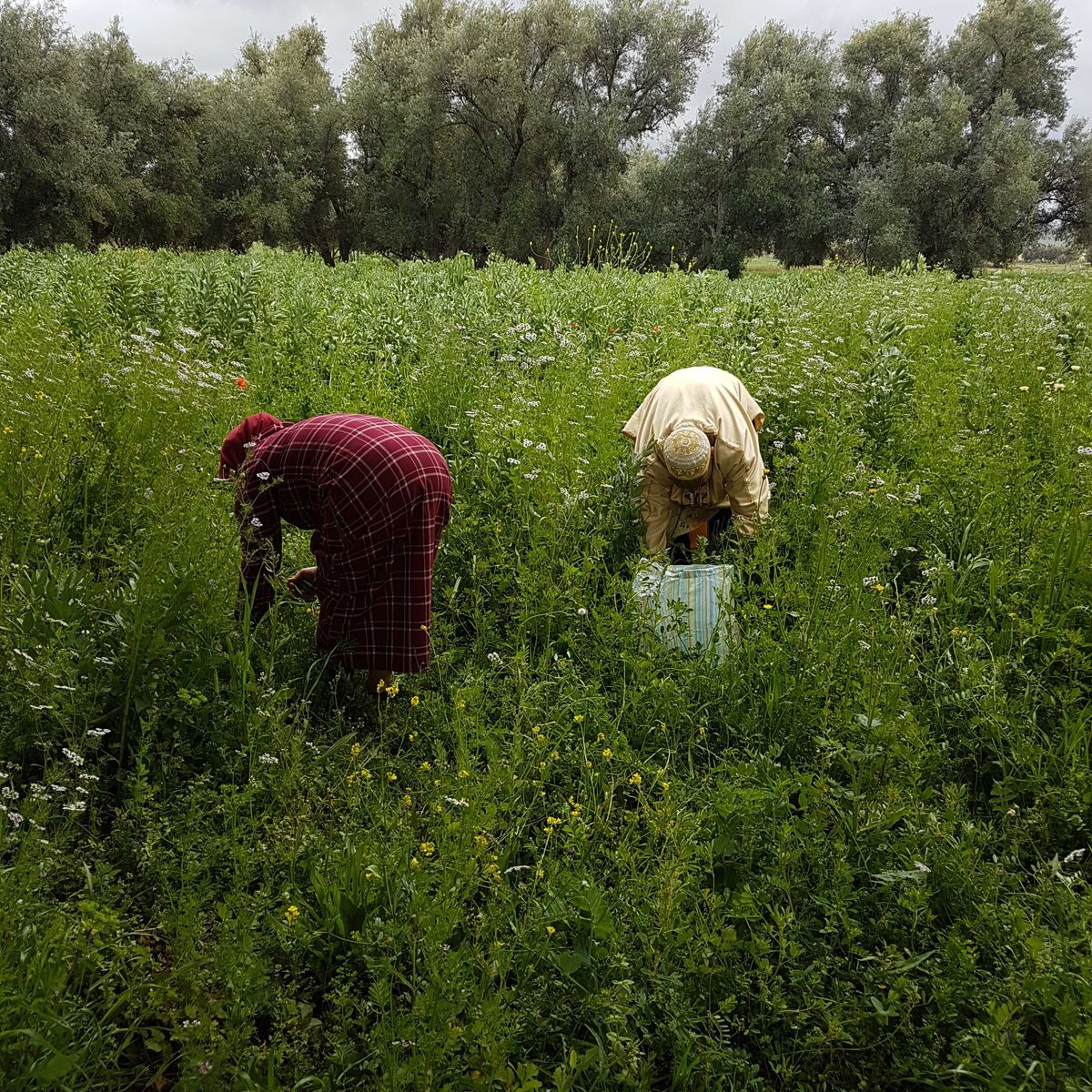 Cooking in Caid's Hidden Palace - 2 Hours from Marrakech