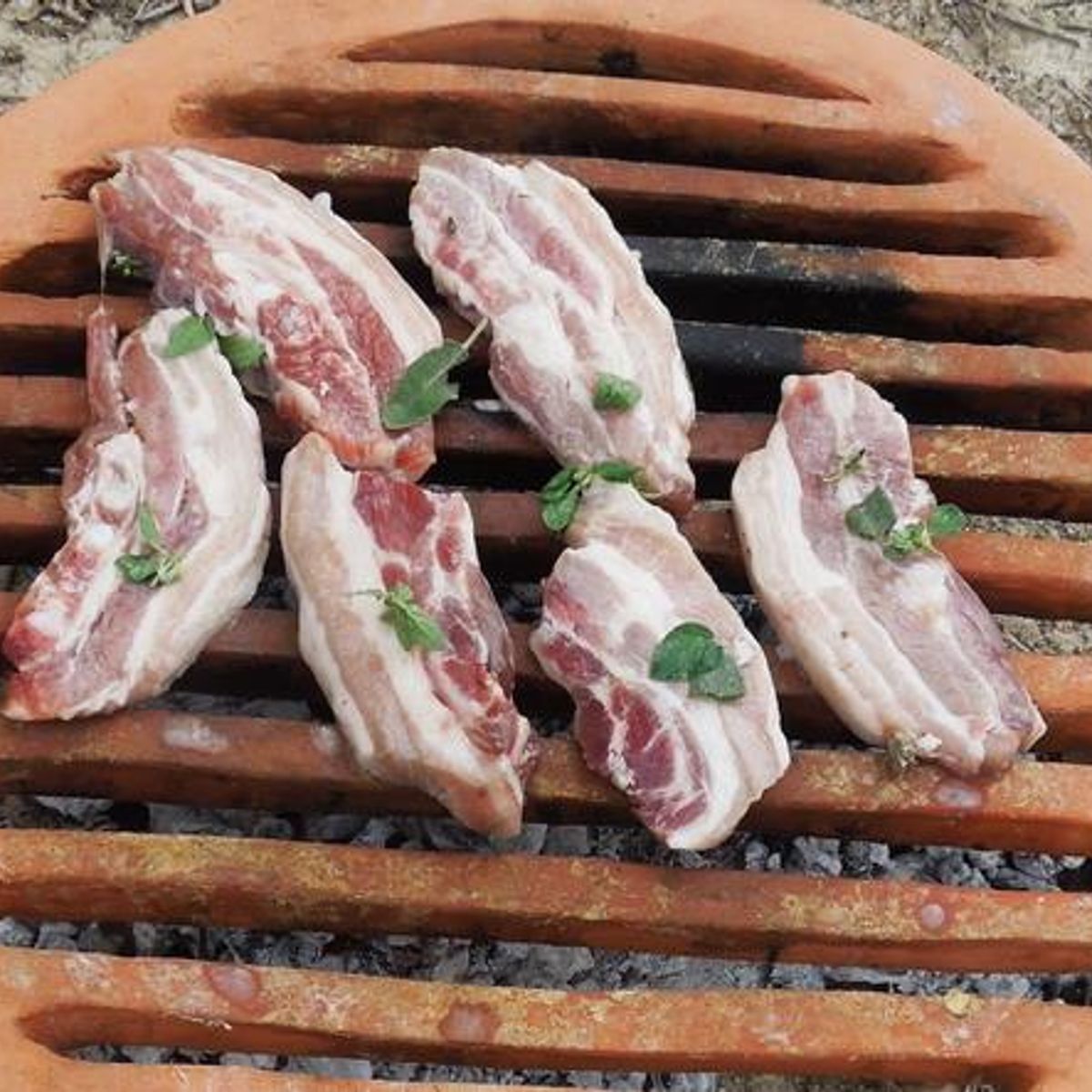 Cooking in Ancient Greece - Recipes from Archaeological Research