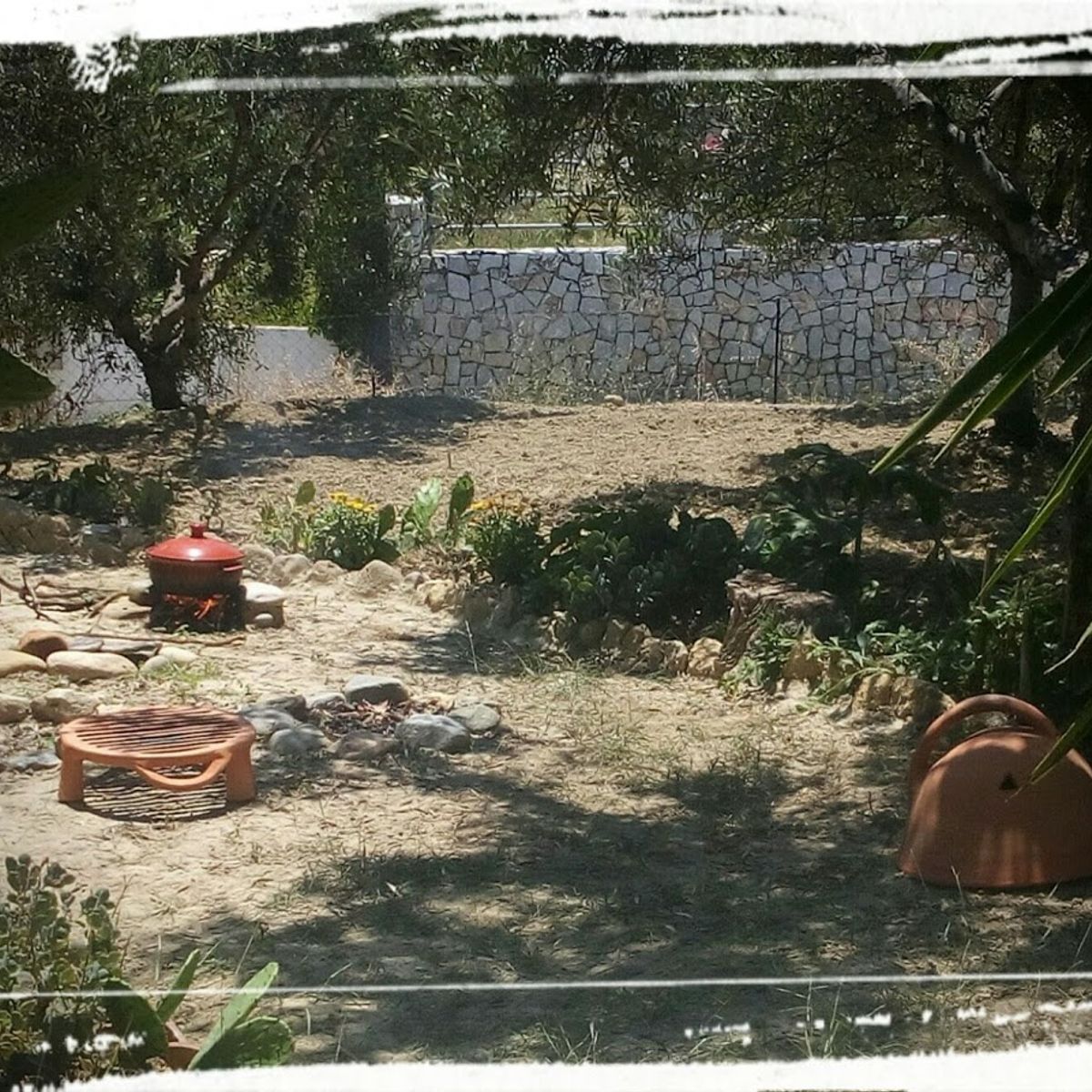 Cooking in Ancient Greece - Recipes from Archaeological Research