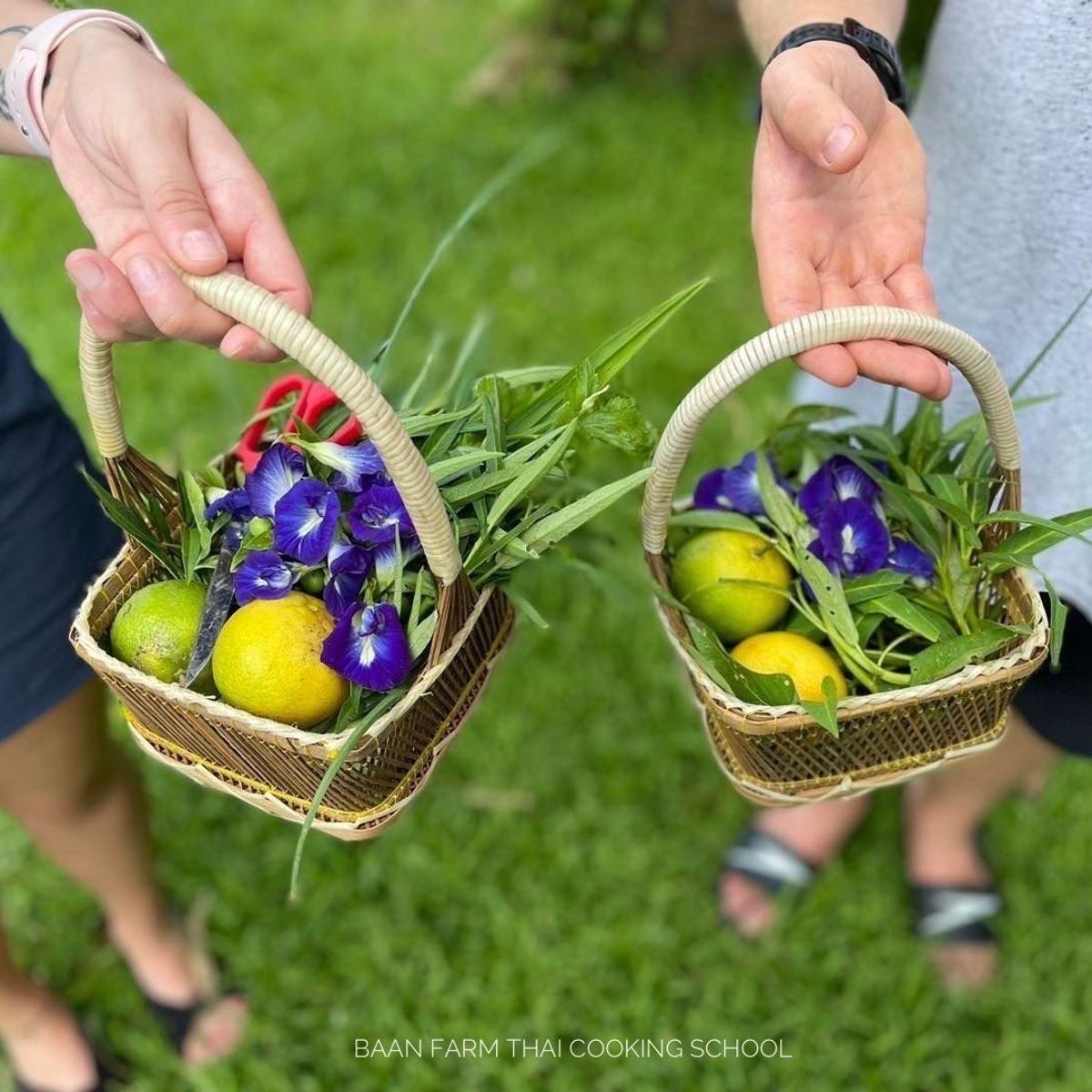 Cooking with Fresh Ingredients at Organic Farm with Local Market Tour