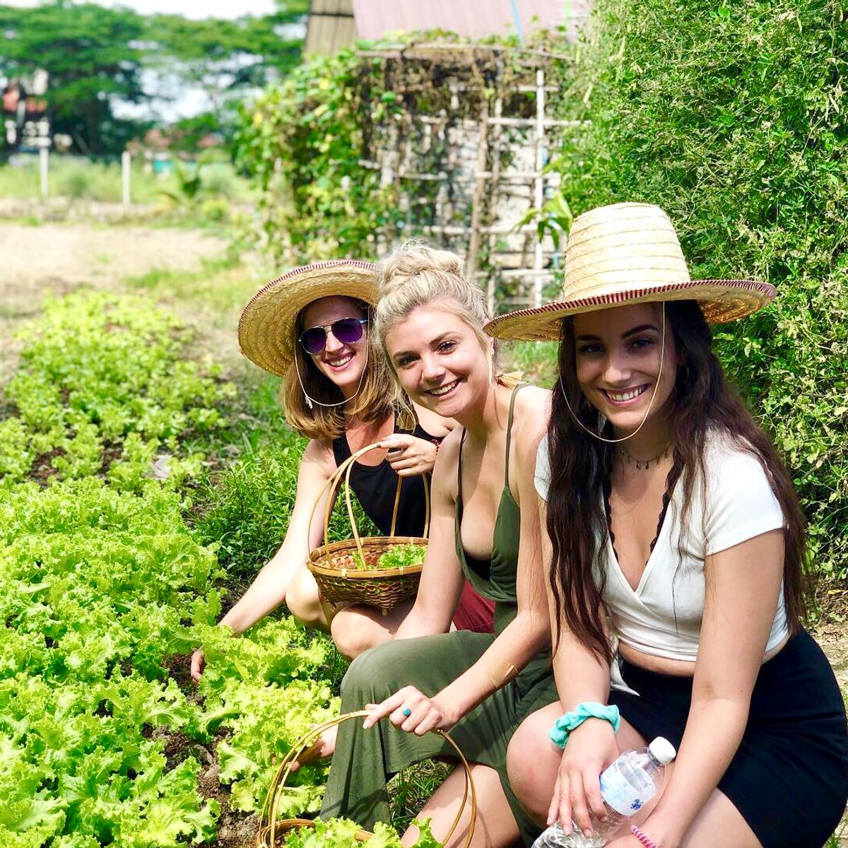 Cooking with Fresh Ingredients at Organic Farm with Local Market Tour
