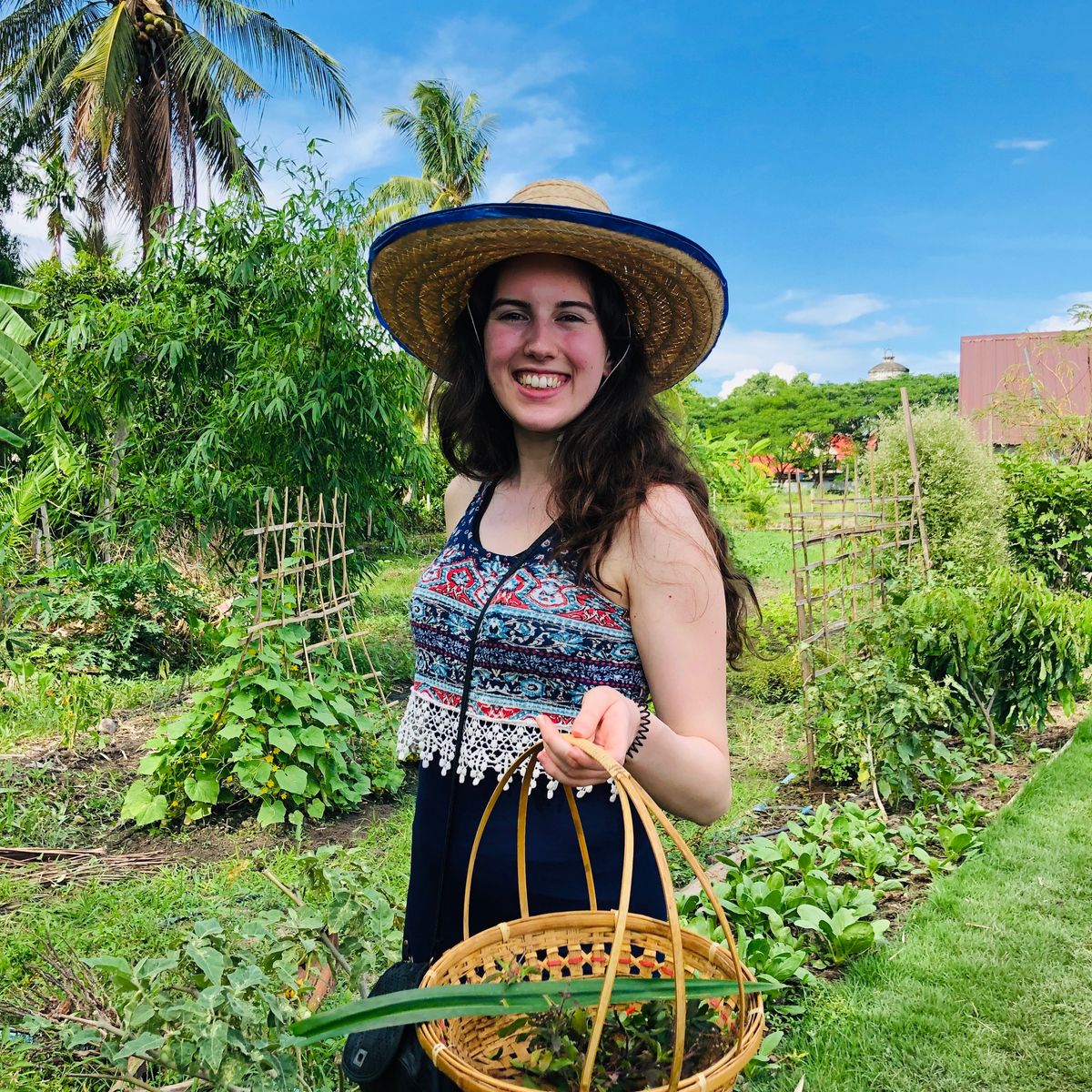 Cooking with Fresh Ingredients at Organic Farm with Local Market Tour
