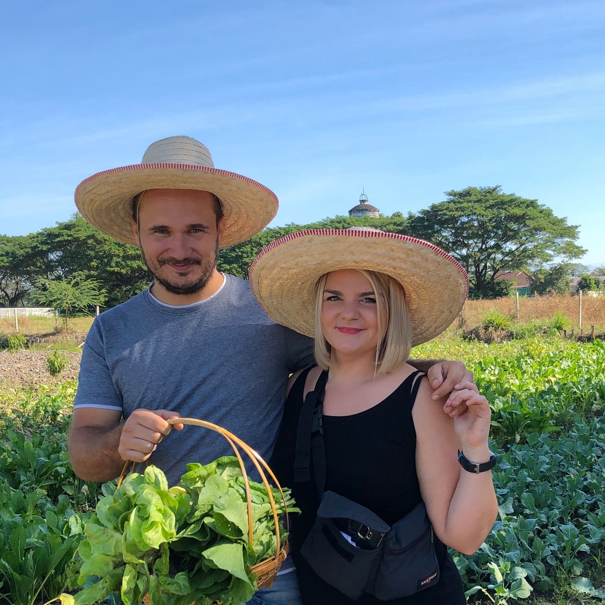 Cooking with Fresh Ingredients at Organic Farm with Local Market Tour