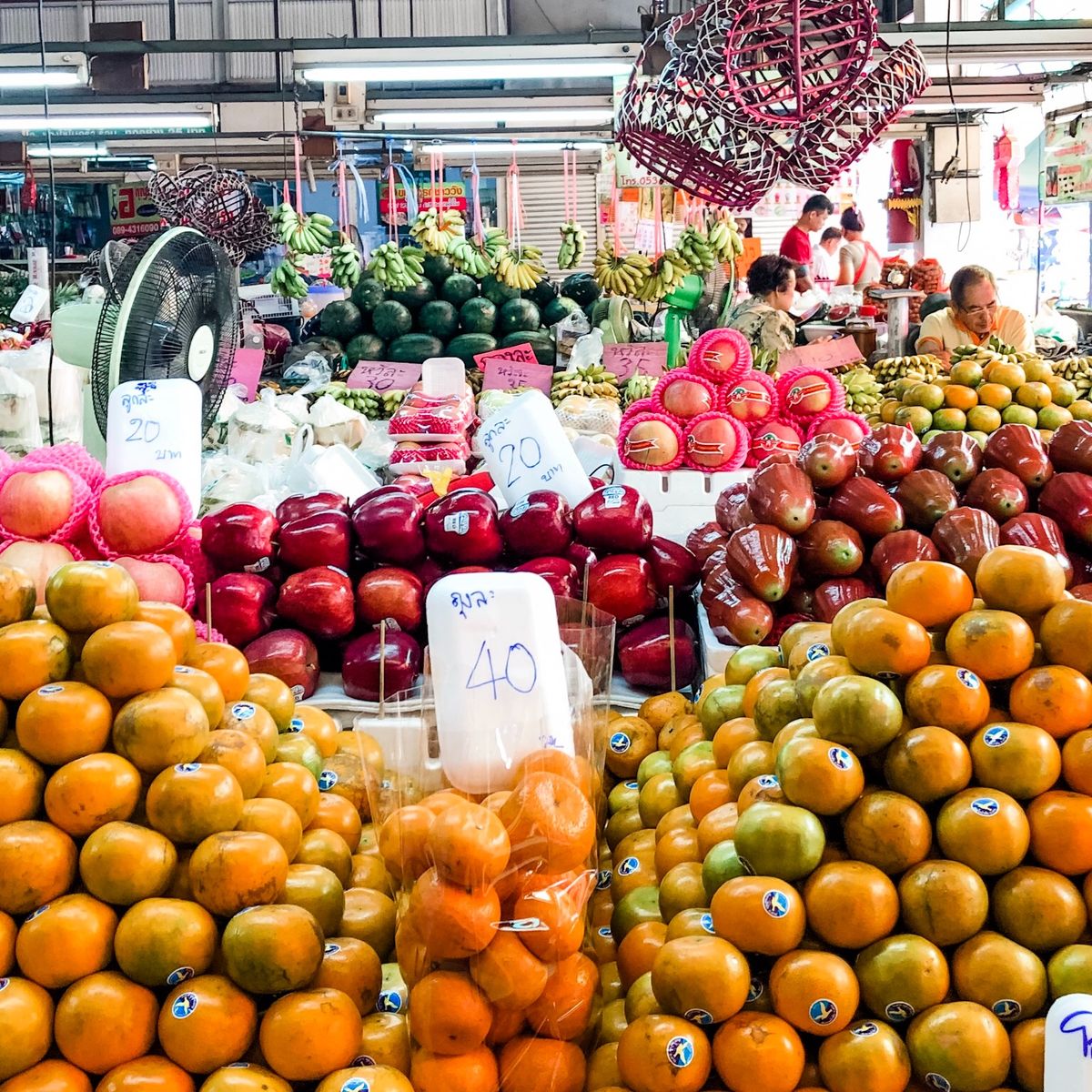 Cooking with Fresh Ingredients at Organic Farm with Local Market Tour