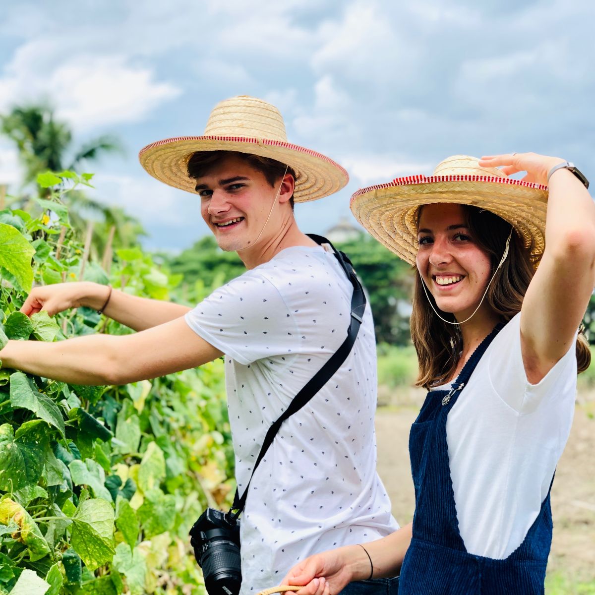 Cooking with Fresh Ingredients at Organic Farm with Local Market Tour