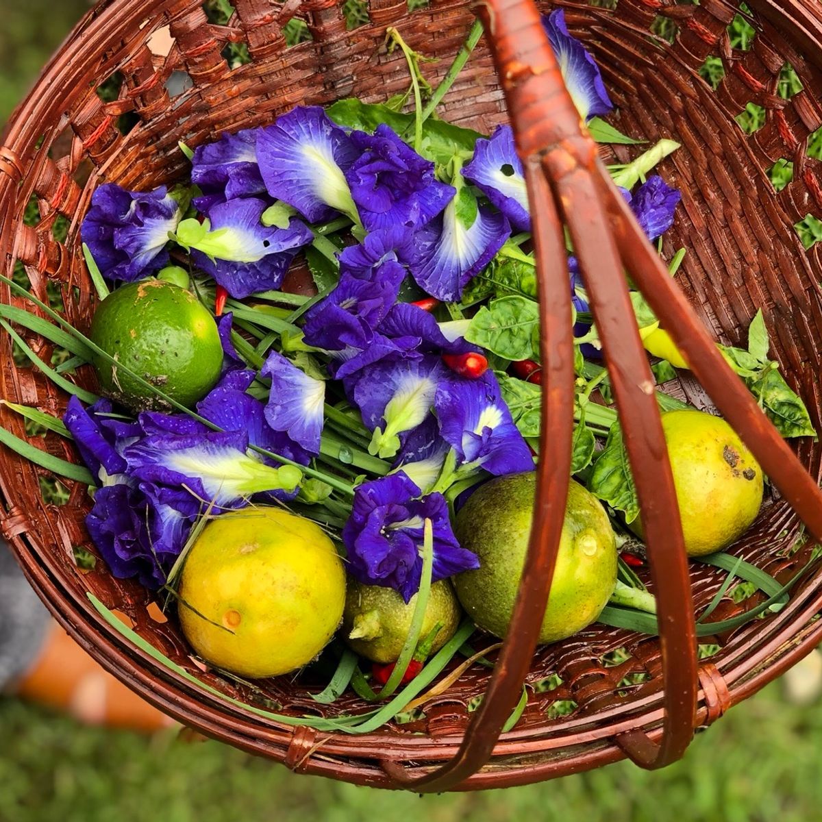 Cooking with Fresh Ingredients at Organic Farm with Local Market Tour