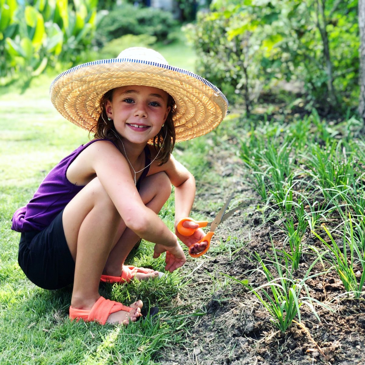 Cooking with Fresh Ingredients at Organic Farm with Local Market Tour