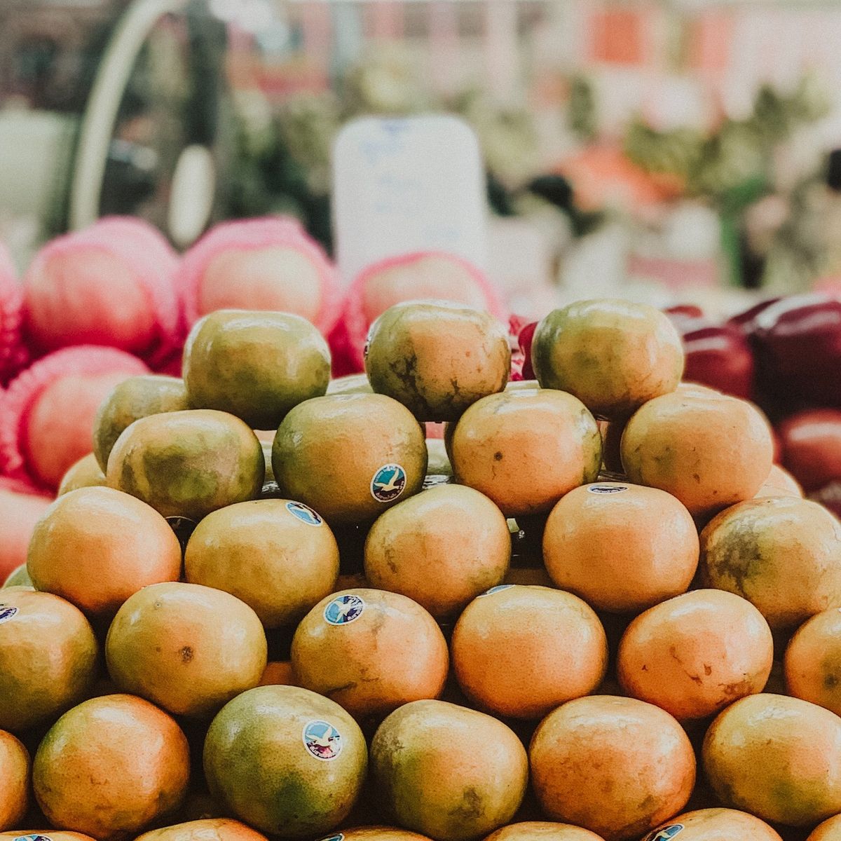 Cooking with Fresh Ingredients at Organic Farm with Local Market Tour