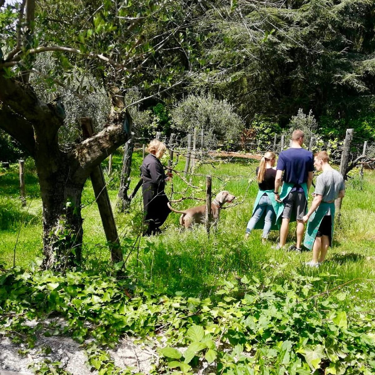 Cooking With Wild Herbs In The Countryside of Rome