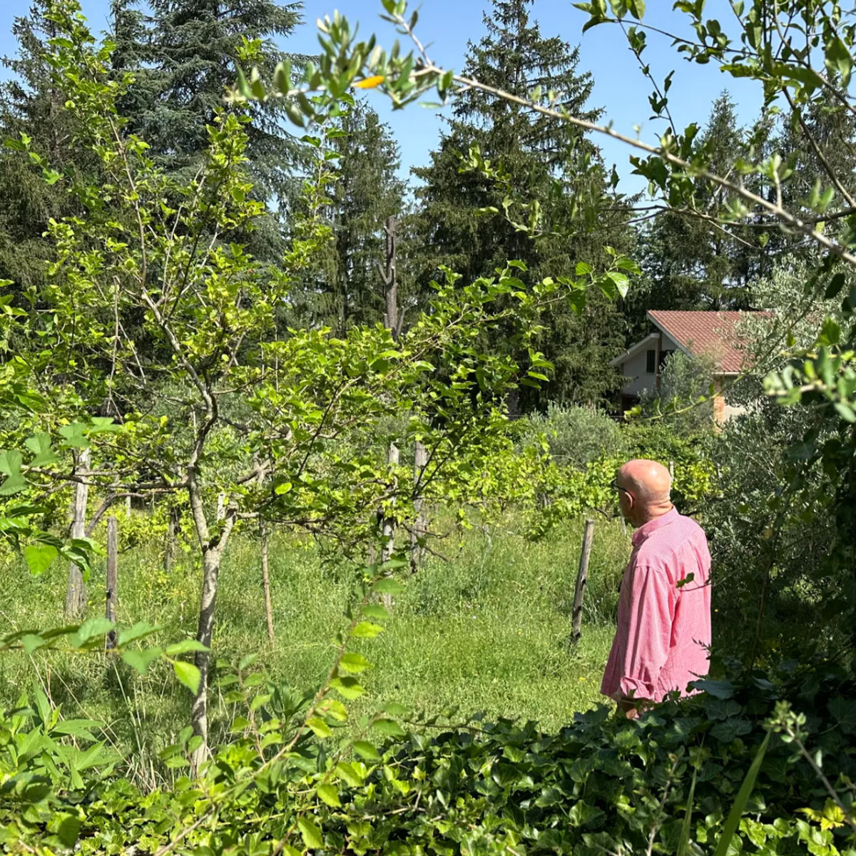 Cuisiner aux herbes sauvages dans la campagne romaine - Cours particulier