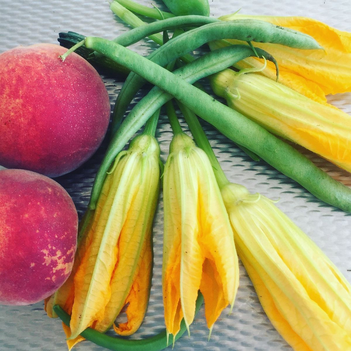 Cuisiner aux herbes sauvages dans la campagne romaine - Cours particulier