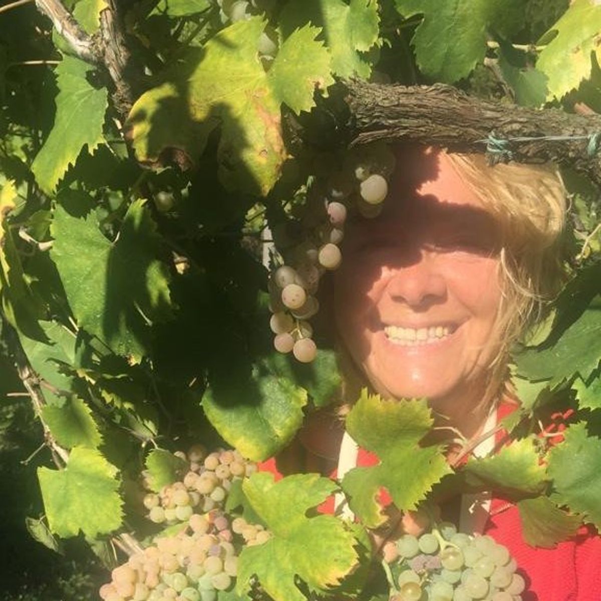 Cooking With Wild Herbs In The Countryside of Rome