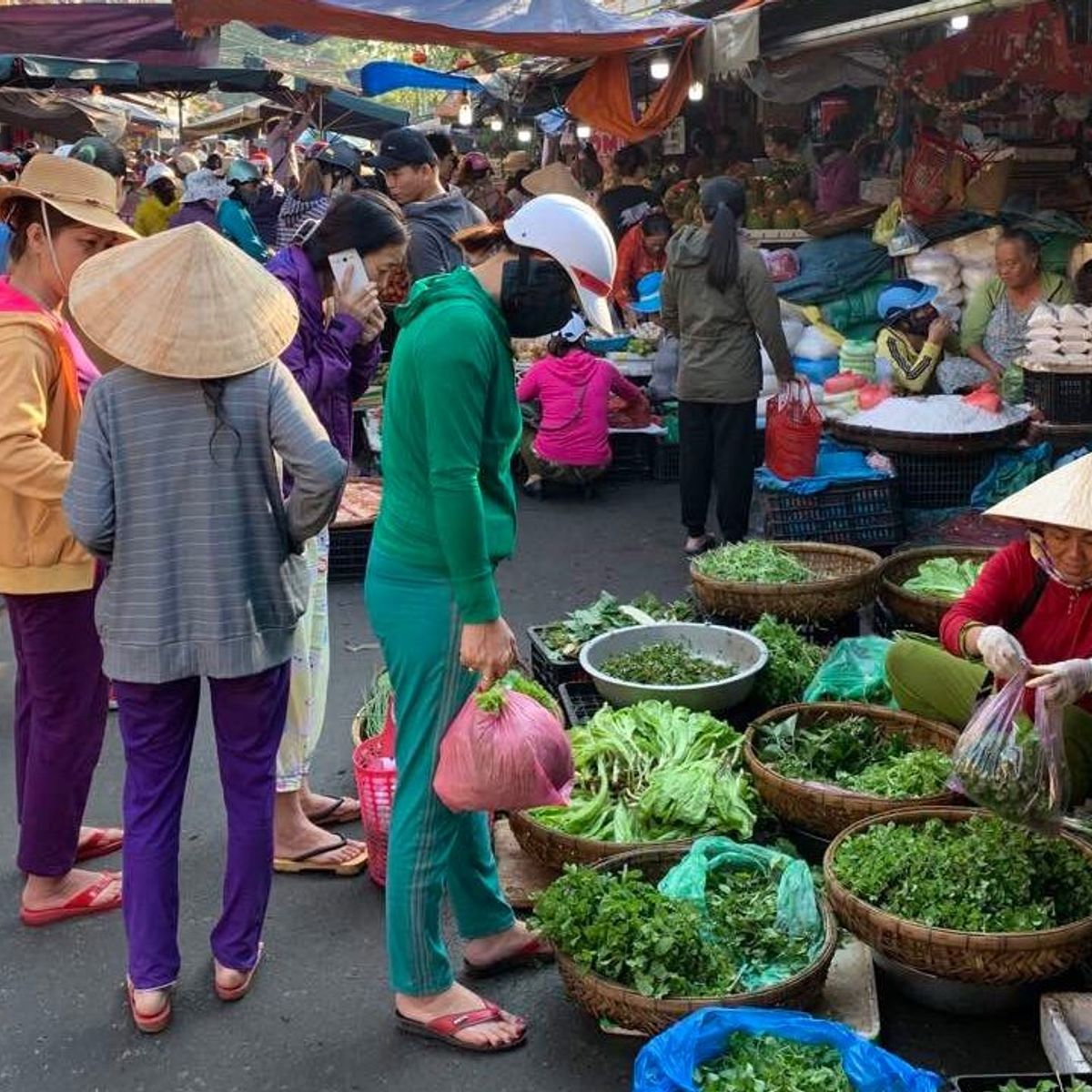 Countryside Bike Tour and Basket Boat Experience with Vietnamese Culinary Class
