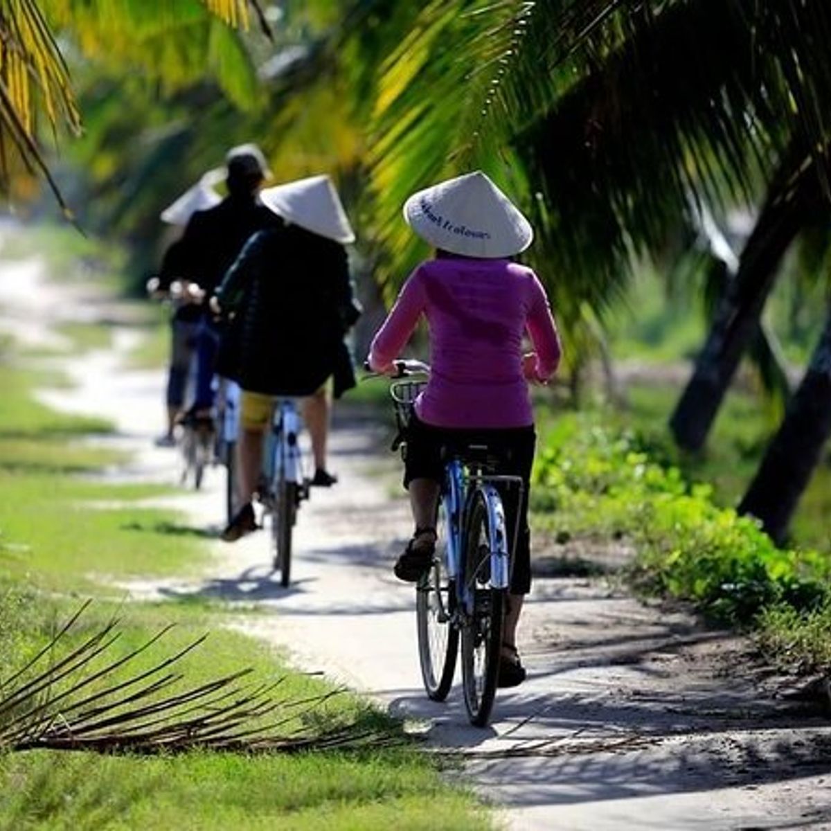 Countryside Bike Tour and Basket Boat Experience with Vietnamese Culinary Class