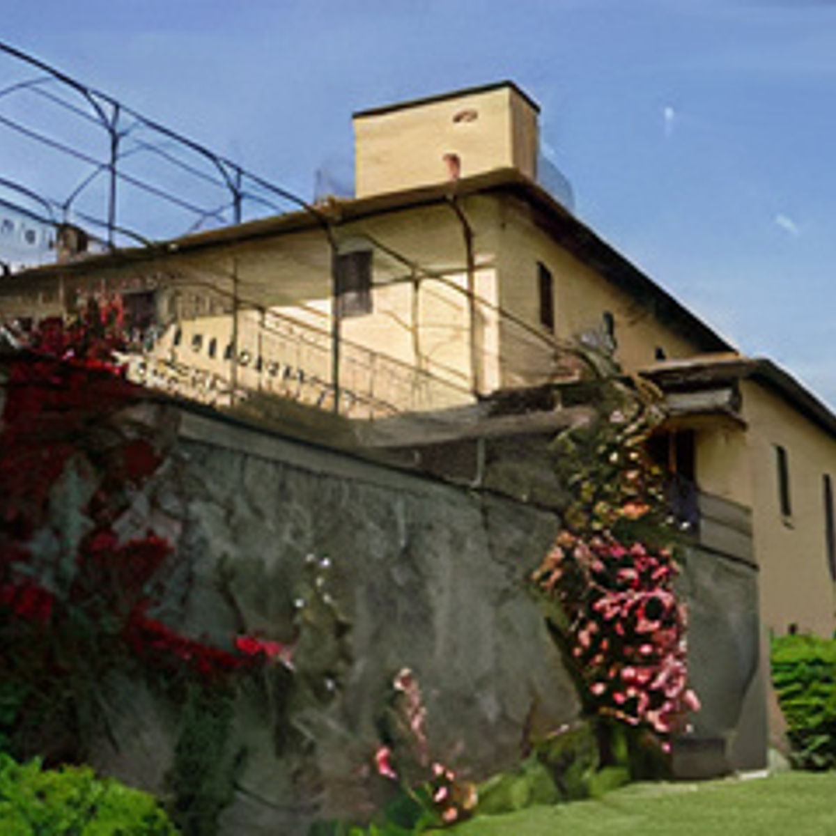 Cours de cuisine dans une villa toscane avec dégustation de vins et d'huile d'olive dans un domaine viticole ...