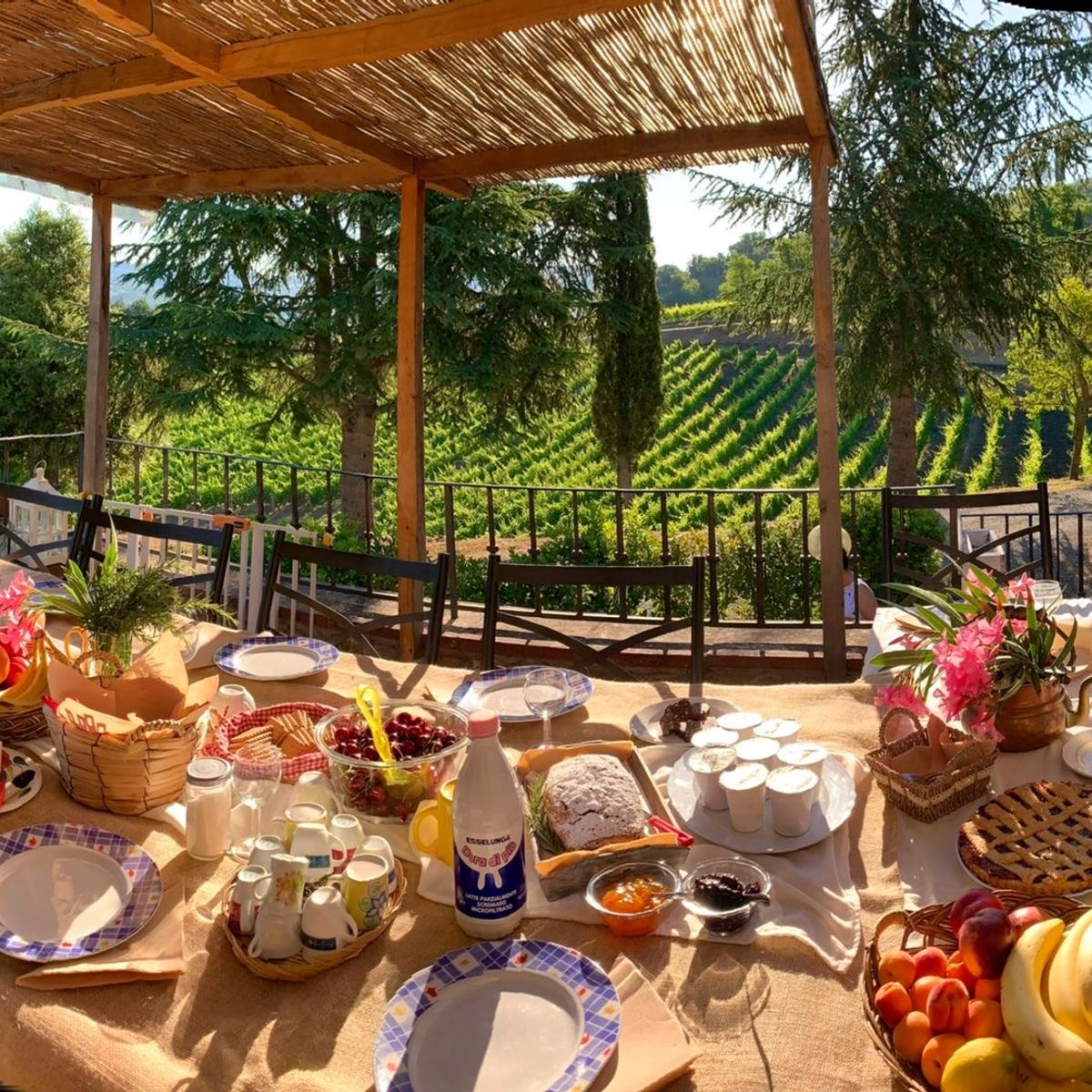 Culinary Experience with Dinner and Live Opera in the Countryside
