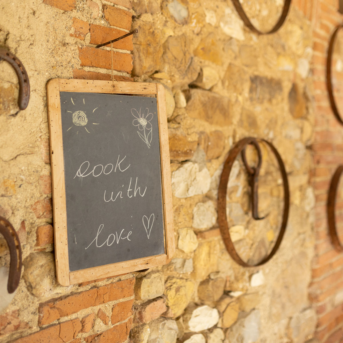 Culinary Experience with Dinner and Live Opera in the Countryside