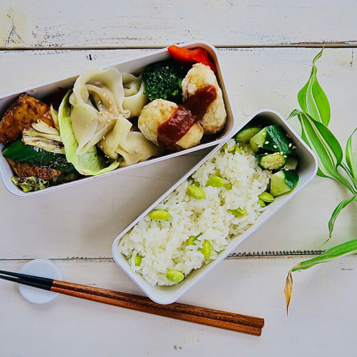 Delicious Japanese Cooking with Bento Box