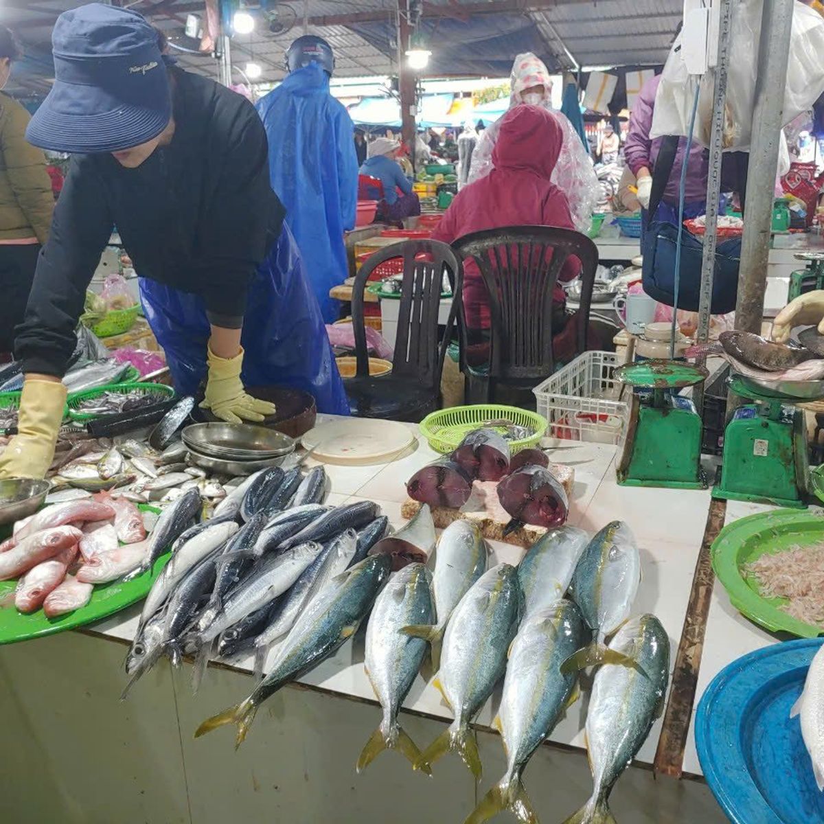 Experience Authentic Vietnamese Cuisine & Local Life in Hoi An