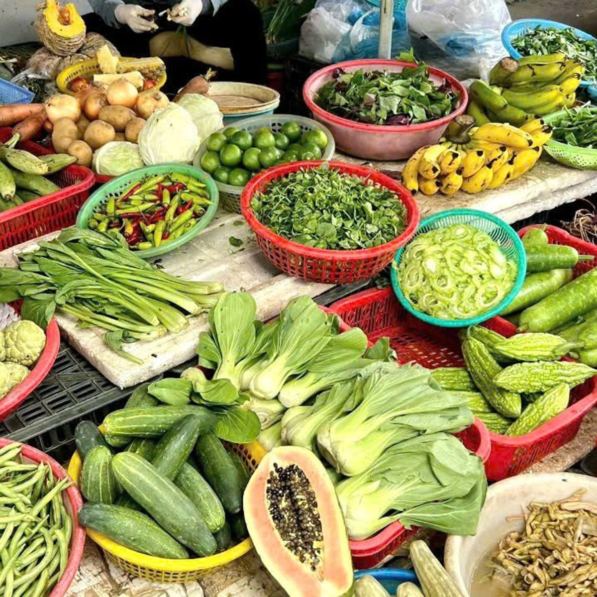 Experience Authentic Vietnamese Cuisine & Local Life in Hoi An