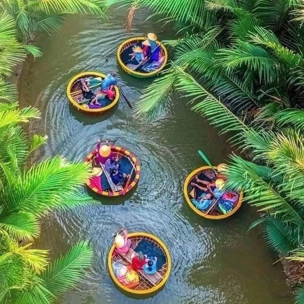 Experience Authentic Vietnamese Cuisine & Local Life in Hoi An