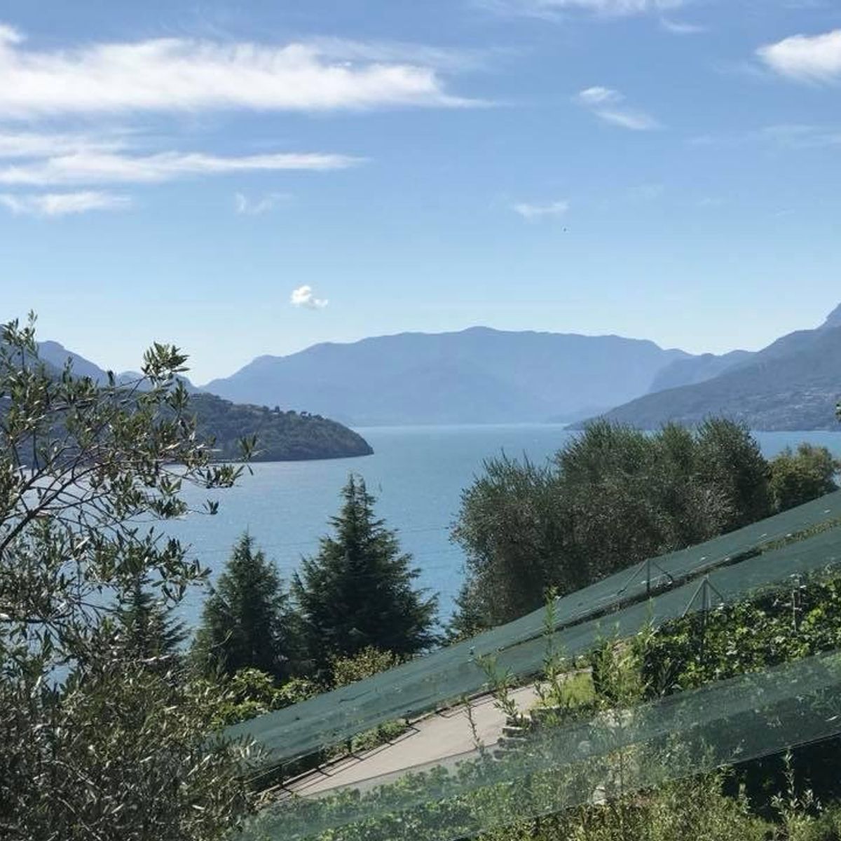 Wine Tour and Tasting Experience at Como Lake Winery in Domaso